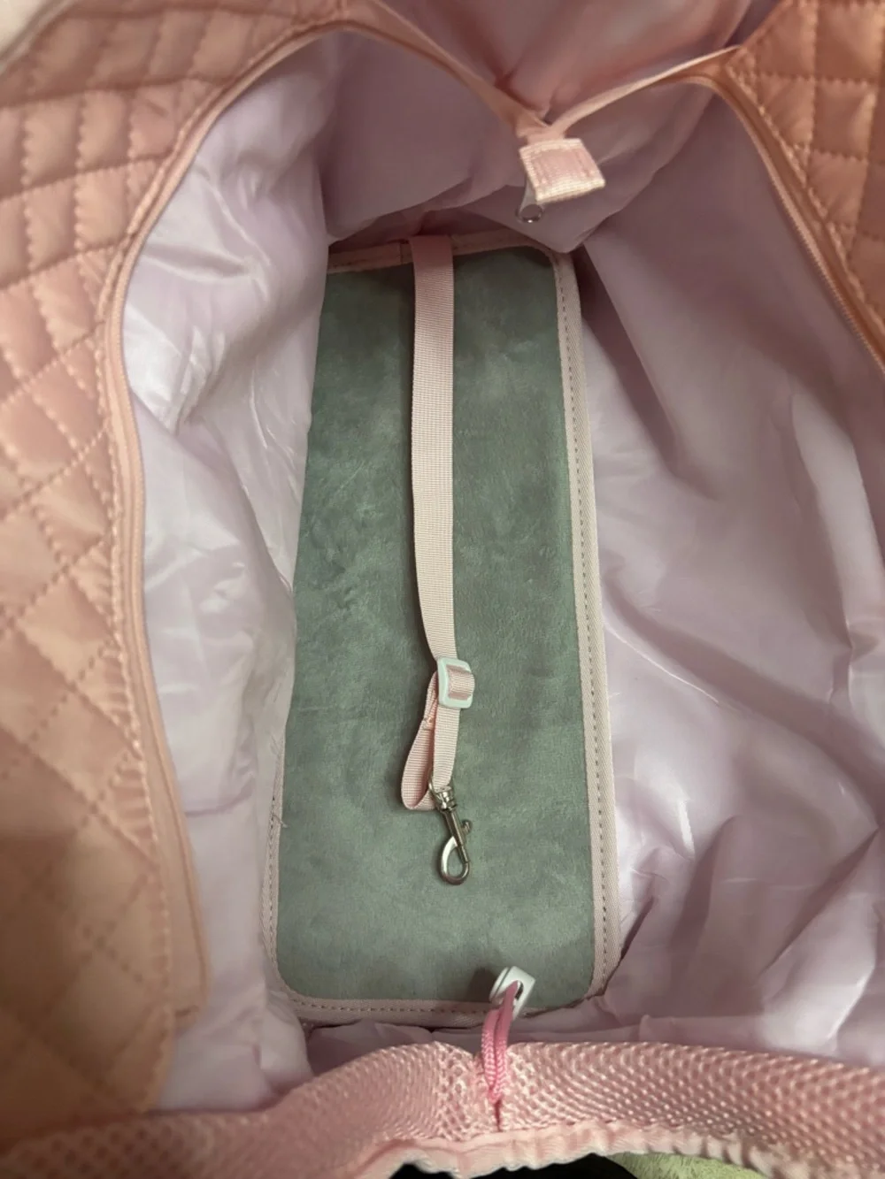 Pecute Dog Purse Carrier